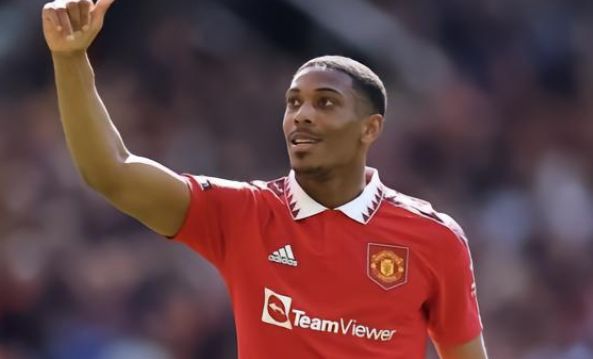 在哈兰德效 在哈兰德效